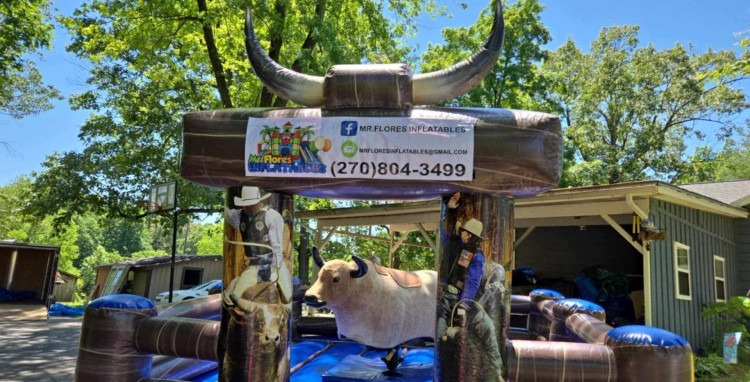Mechanical Bull