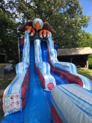 IMG 5080 1753148533 Bald Eagle Water Slide
