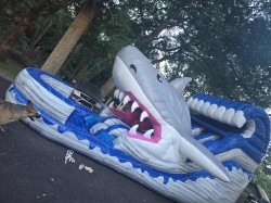 41ecd0309dd70836e6008bf8e5268294 1756670706 Shark Double Lane Slide